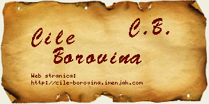 Ćile Borovina vizit kartica